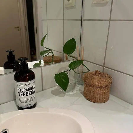 Comfortable Living דירה